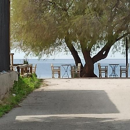 Ψάθα Παραλία Villa Bagian luar foto